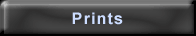 Prints (link)